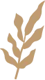 union
